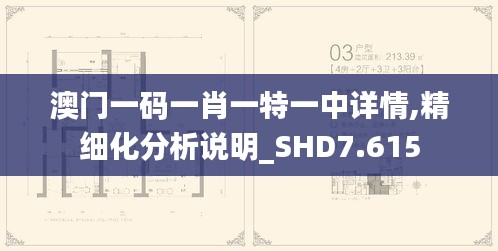 澳门一码一肖一特一中详情,精细化分析说明_SHD7.615