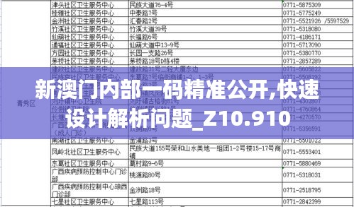 新澳门内部一码精准公开,快速设计解析问题_Z10.910