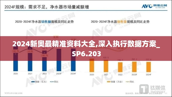 2024新奥最精准资料大全,深入执行数据方案_SP6.203