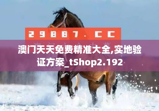 澳门天天免费精准大全,实地验证方案_tShop2.192