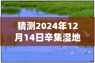 辛集湿地公园未来面貌预测，展望2024年崭新面貌