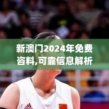 新澳门2024年免费咨料,可靠信息解析说明_UHD版2.208