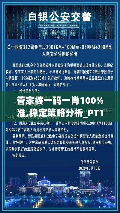 管家婆一码一肖100%准,稳定策略分析_PT10.312