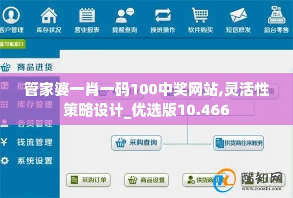 管家婆一肖一码100中奖网站,灵活性策略设计_优选版10.466