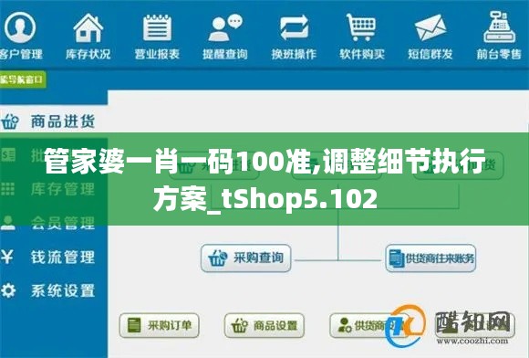 管家婆一肖一码100准,调整细节执行方案_tShop5.102