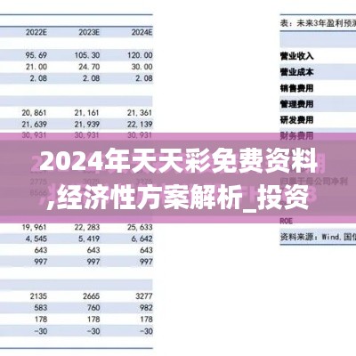 2024年天天彩免费资料,经济性方案解析_投资版4.222