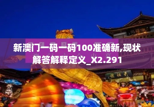 新澳门一码一码100准确新,现状解答解释定义_X2.291