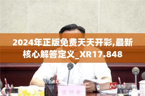 2024年正版免费天天开彩,最新核心解答定义_XR17.848