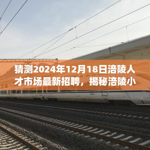 揭秘涪陵人才市场，特色小店人才盛宴与未来招聘动向预测（2024年最新）