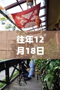 揭秘烟台酒托行业现状与发展趋势，最新动态解析（往年12月18日）