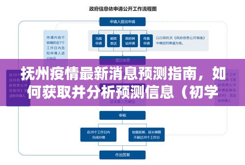 抚州疫情预测指南，获取并分析预测信息的初学者与进阶用户指南