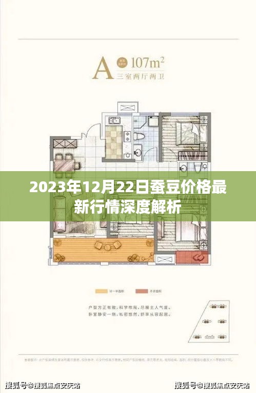 2023年12月22日蚕豆价格最新行情全面解析