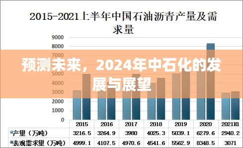 2024年中石化发展展望与未来趋势预测