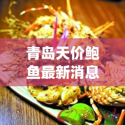 青岛天价鲍鱼最新动态揭秘，市场热议背后的真相探索（12月22日报道）