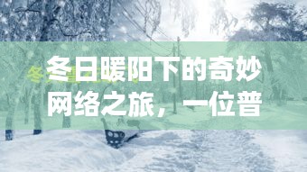 冬日暖阳下的网络奇遇，美国热门网温馨故事之旅