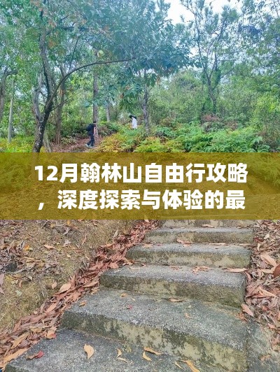 12月翰林山自由行深度攻略，最佳探索与体验路径探讨