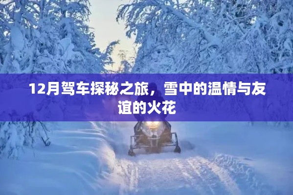 12月雪中探秘之旅，温情与友谊的火花