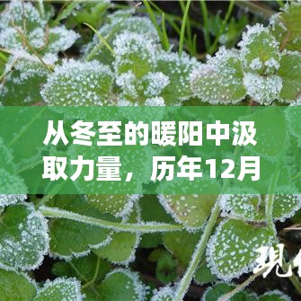 冬至暖阳下的游戏启示与成长之路