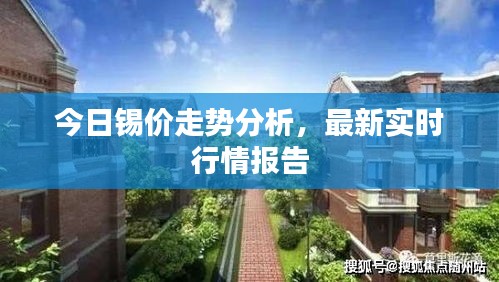 今日锡价走势分析，最新实时行情报告