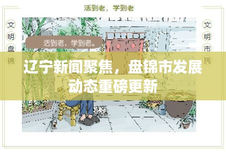 辽宁新闻聚焦，盘锦市发展动态重磅更新