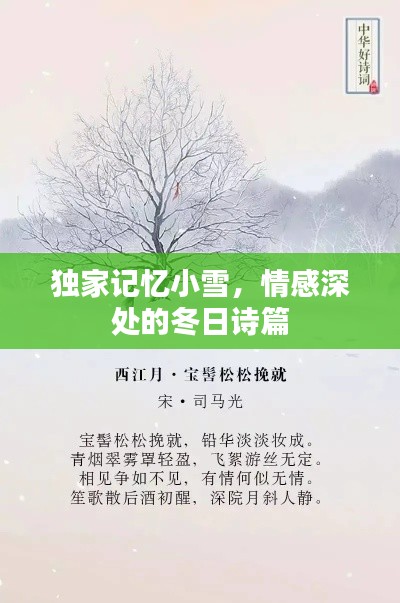 独家记忆小雪，情感深处的冬日诗篇