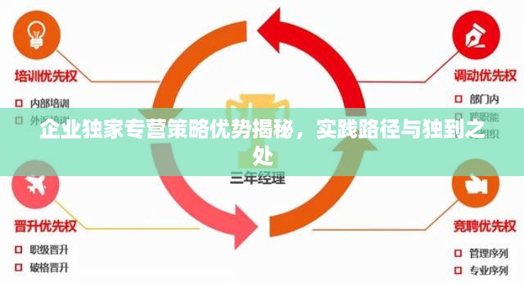 企业独家专营策略优势揭秘，实践路径与独到之处