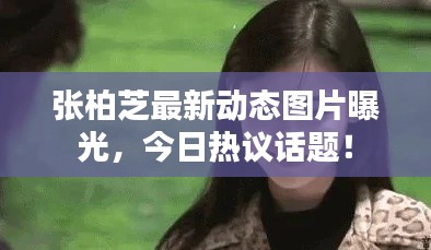 张柏芝最新动态图片曝光，今日热议话题！