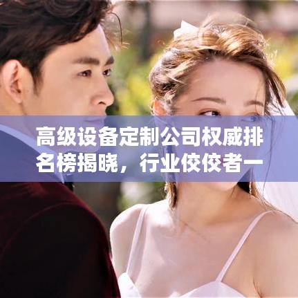 高级设备定制公司权威排名榜揭晓，行业佼佼者一览无余