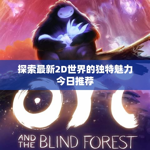 探索最新2D世界的独特魅力今日推荐