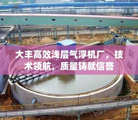 大丰高效浅层气浮机厂，技术领航，质量铸就信誉