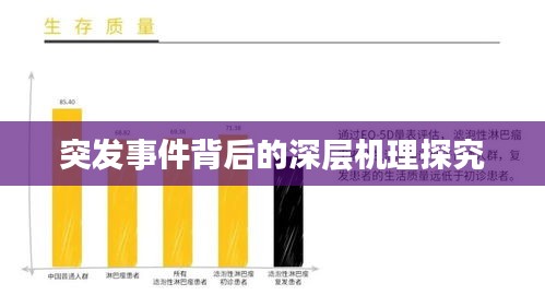 突发事件背后的深层机理探究