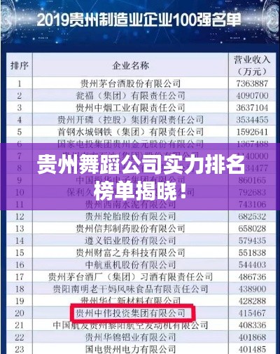 贵州舞蹈公司实力排名榜单揭晓！