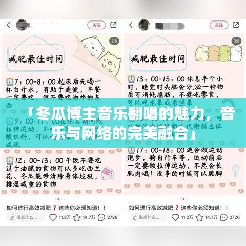 「冬瓜博主音乐翻唱的魅力，音乐与网络的完美融合」