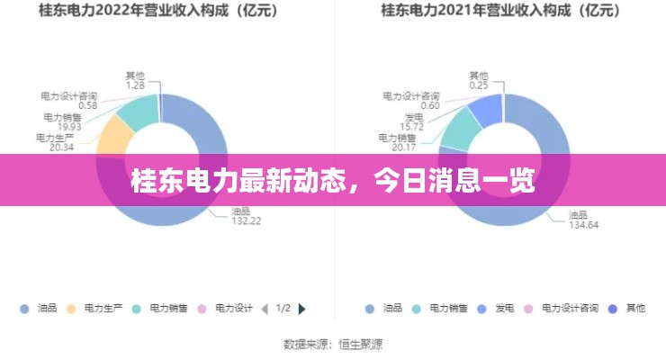 桂东电力最新动态，今日消息一览