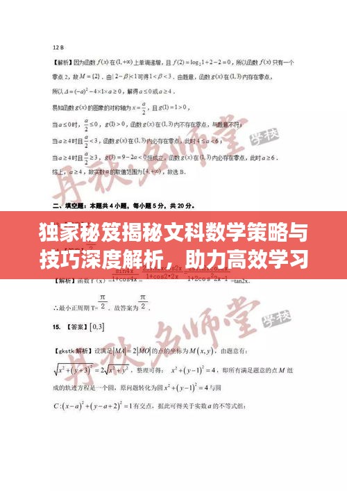 独家秘笈揭秘文科数学策略与技巧深度解析，助力高效学习！