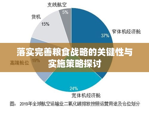 落实完善粮食战略的关键性与实施策略探讨
