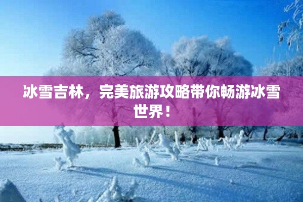 冰雪吉林，完美旅游攻略带你畅游冰雪世界！