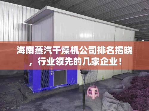海南蒸汽干燥机公司排名揭晓，行业领先的几家企业！