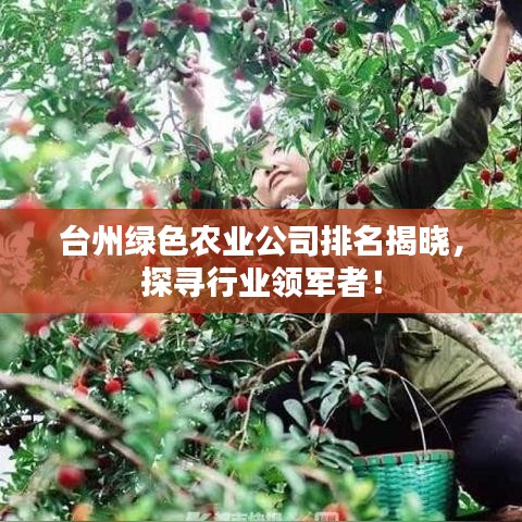 台州绿色农业公司排名揭晓，探寻行业领军者！