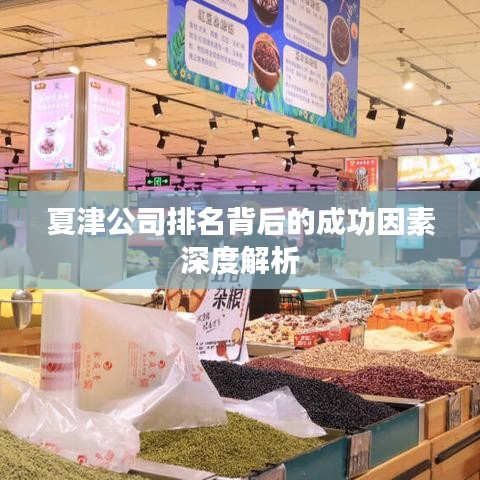 夏津公司排名背后的成功因素深度解析