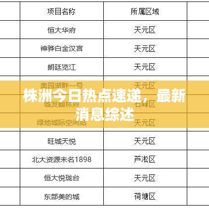 株洲今日热点速递，最新消息综述