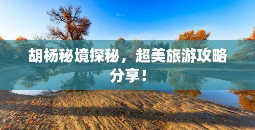 胡杨秘境探秘，超美旅游攻略分享！