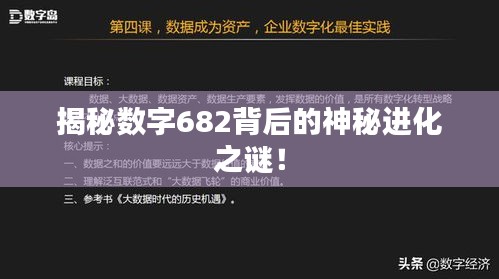 揭秘数字682背后的神秘进化之谜！