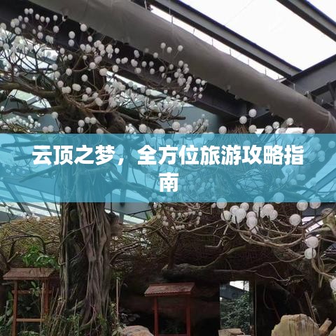 云顶之梦，全方位旅游攻略指南