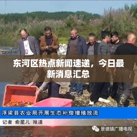 东河区热点新闻速递，今日最新消息汇总