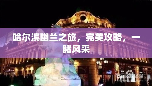 2025年6月24日 第3页