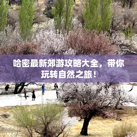 哈密最新郊游攻略大全，带你玩转自然之旅！