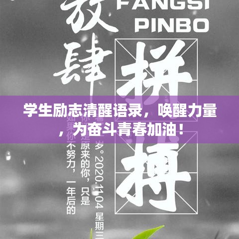 学生励志清醒语录，唤醒力量，为奋斗青春加油！