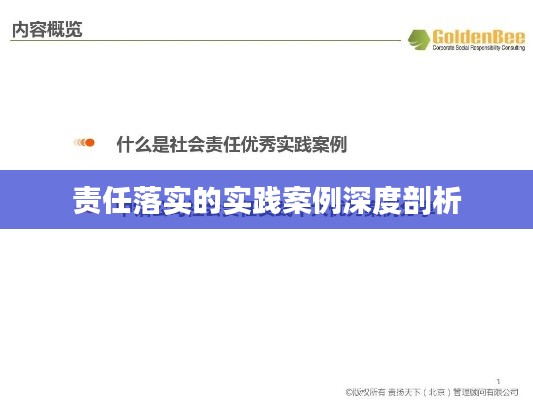 责任落实的实践案例深度剖析