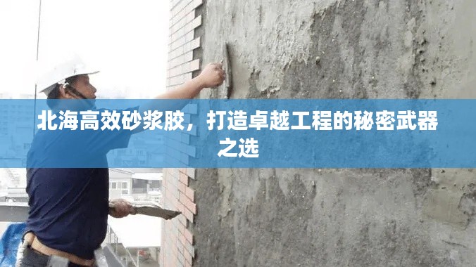 北海高效砂浆胶，打造卓越工程的秘密武器之选